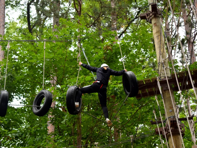 A climber in a harness crossing a line of hanging tyres on a high ropes course among trees