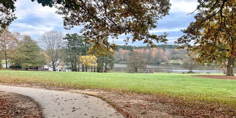 A path curving across open parkland at Tilgate Park, Crawley, with the lake and autumn trees beyond