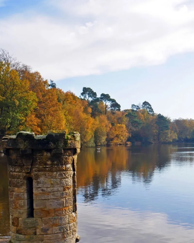 Autumn woodland reflected in a lake at Crawley, with a stone folly tower on the near bank