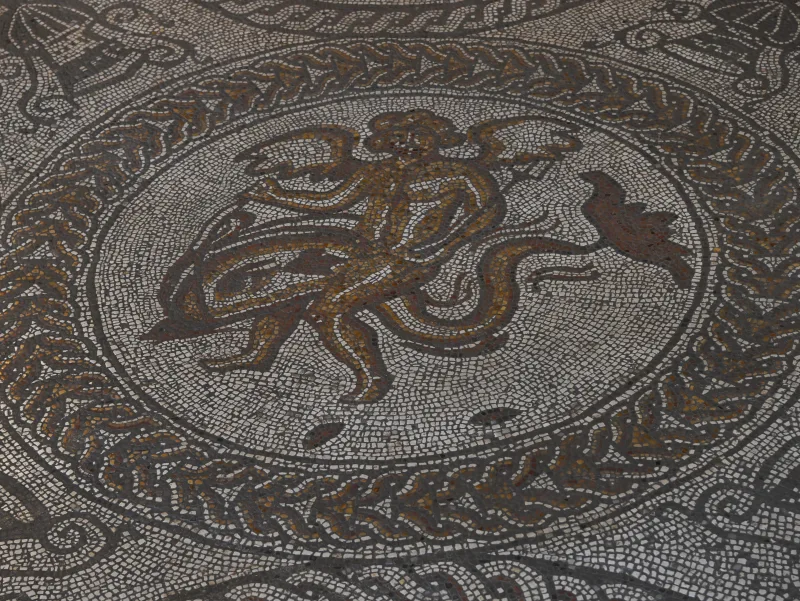 The Cupid on a Dolphin mosaic at Fishbourne Roman Palace